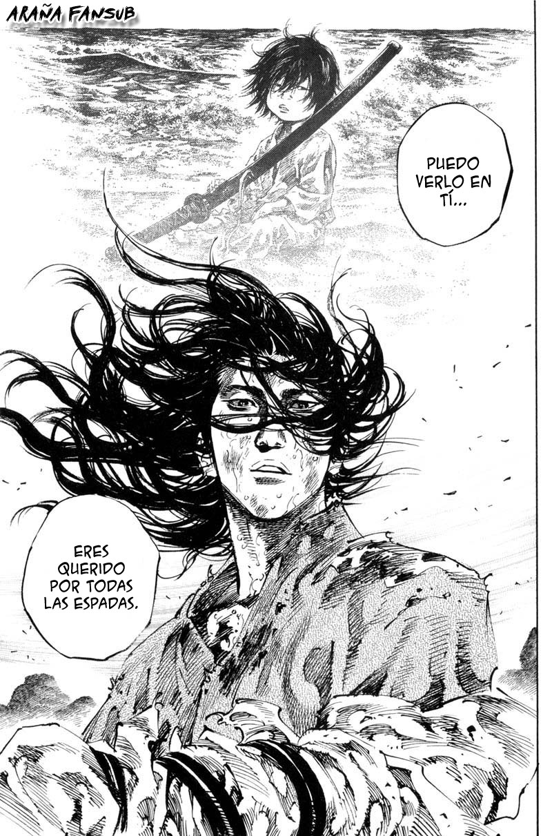 Vagabond (Araña Fansub)